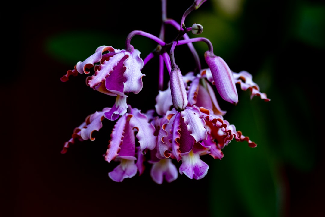 Unleashing Your Inner Explorer: The Magic of Outdoor Adventure